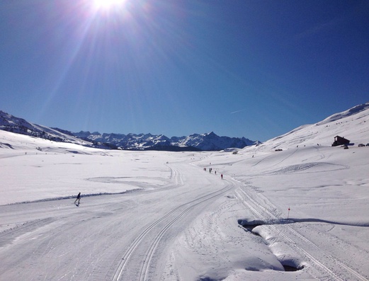 Hotel Baqueira Beret Hotel Chalet Val de Ruda