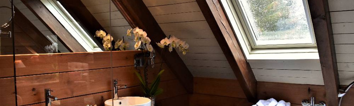 Junior Suite JUNIOR SUITE Hotel Chalet Val de Ruda